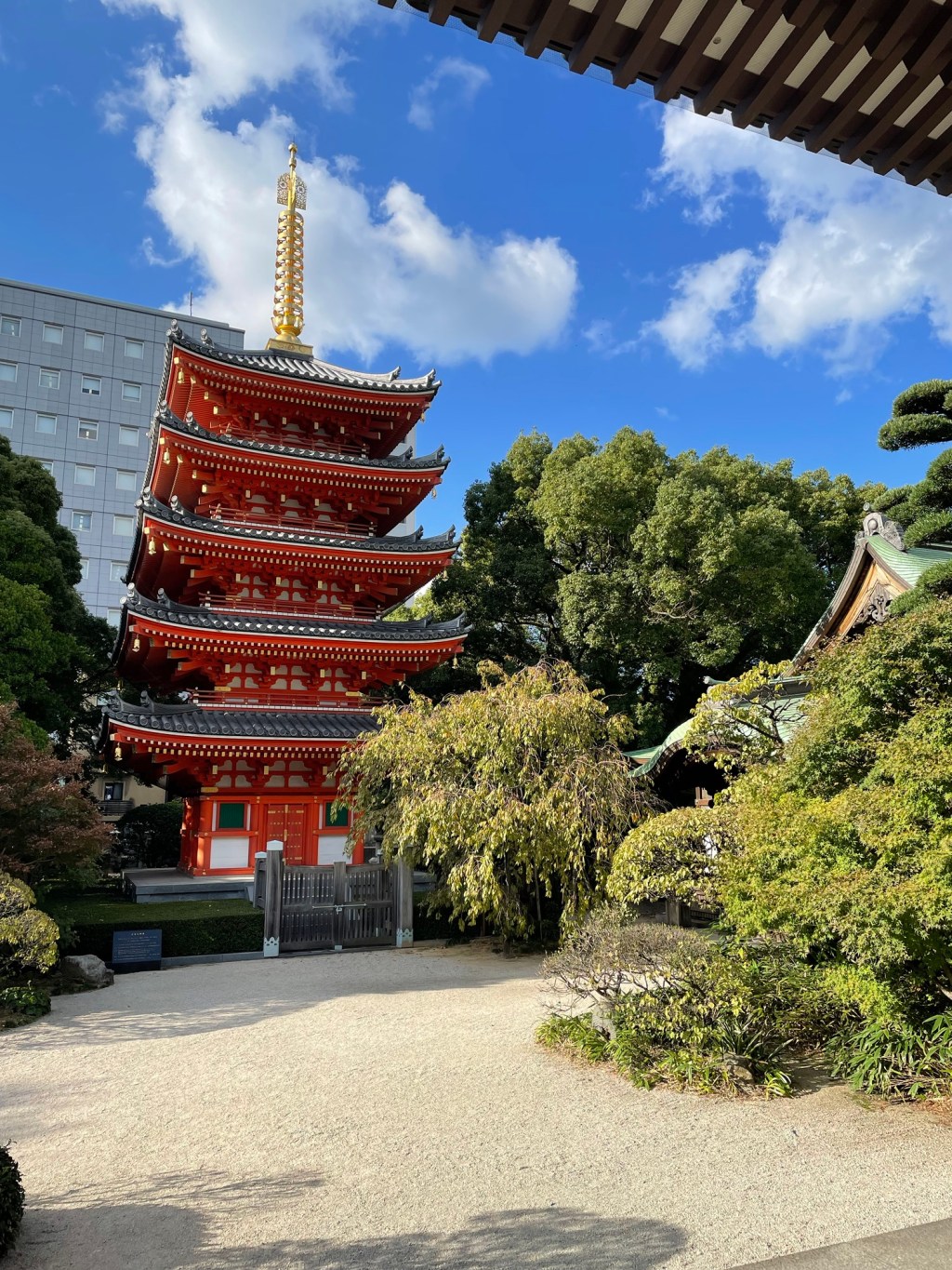 Giappone mon amour:  il mio pazzo pazzo viaggio nella terra del Sol&nbsp;Levante.